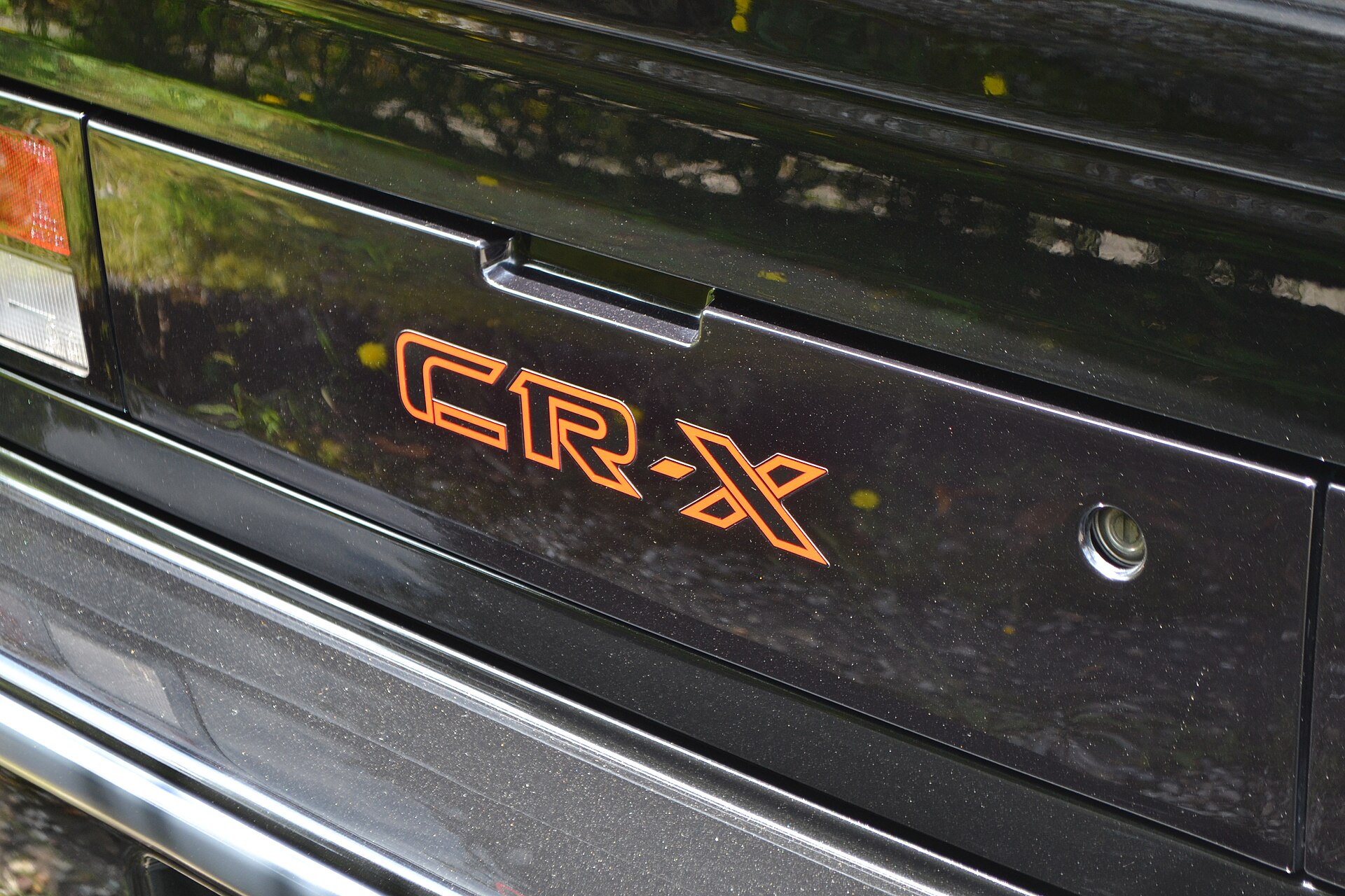 Sports coupe exterior body detail